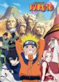naruto 1 temporada dublado